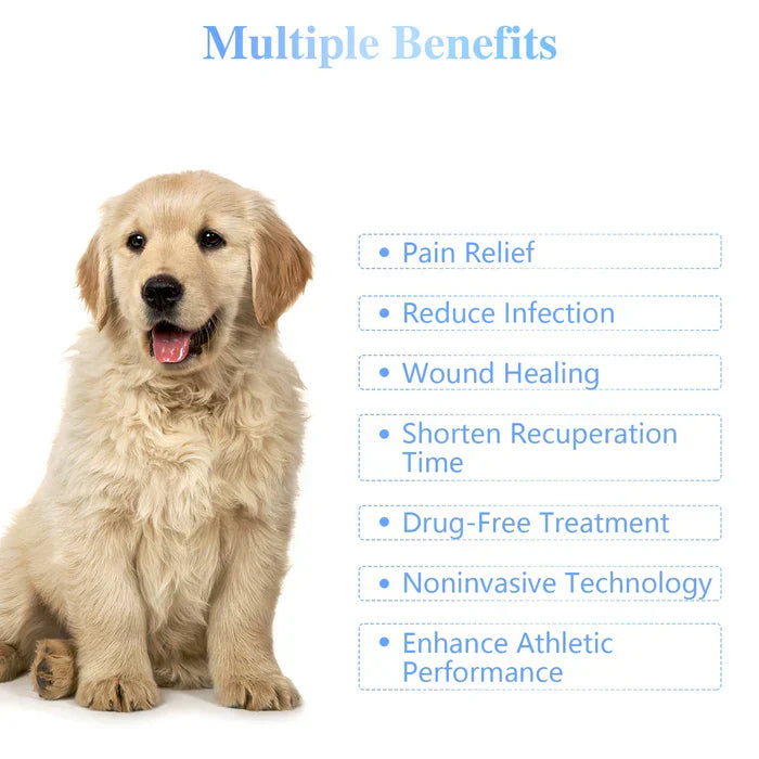 Handheld Portable Cold Laser Light For At-Home Pet Care