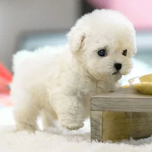 Interactive Plush Toy Puppy With Realistic Movements And Reactions For All Ages