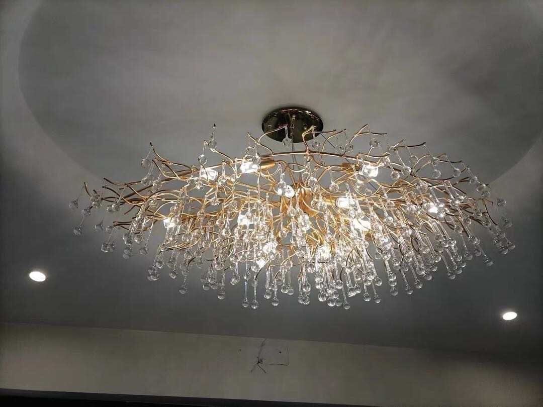 Aurora Crystal Chandelier With Customizable Lighting Elegance