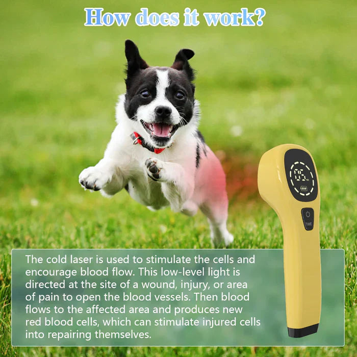 Handheld Portable Cold Laser Light For At-Home Pet Care