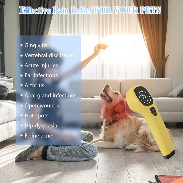 Handheld Portable Cold Laser Light For At-Home Pet Care