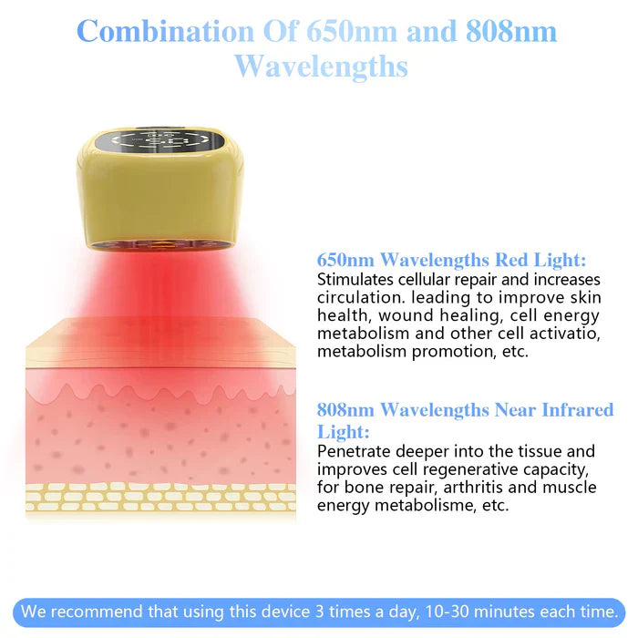 Handheld Portable Cold Laser Light For At-Home Pet Care
