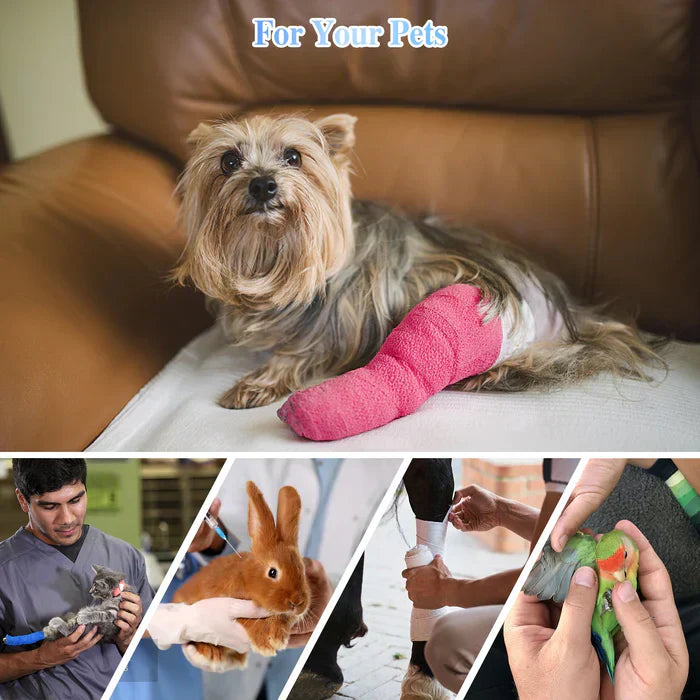 Handheld Portable Cold Laser Light For At-Home Pet Care
