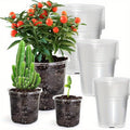 Rootview Set Clear Seedling Planters, 15-Pack for Easy Root Observation