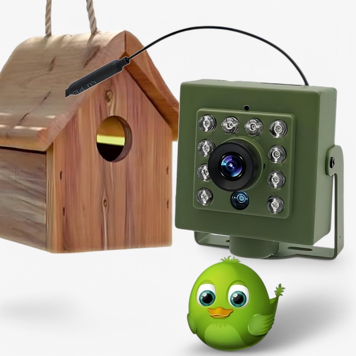 Wildspy 1080p vildtkamera med AI bevægelsesdetektion og natvision