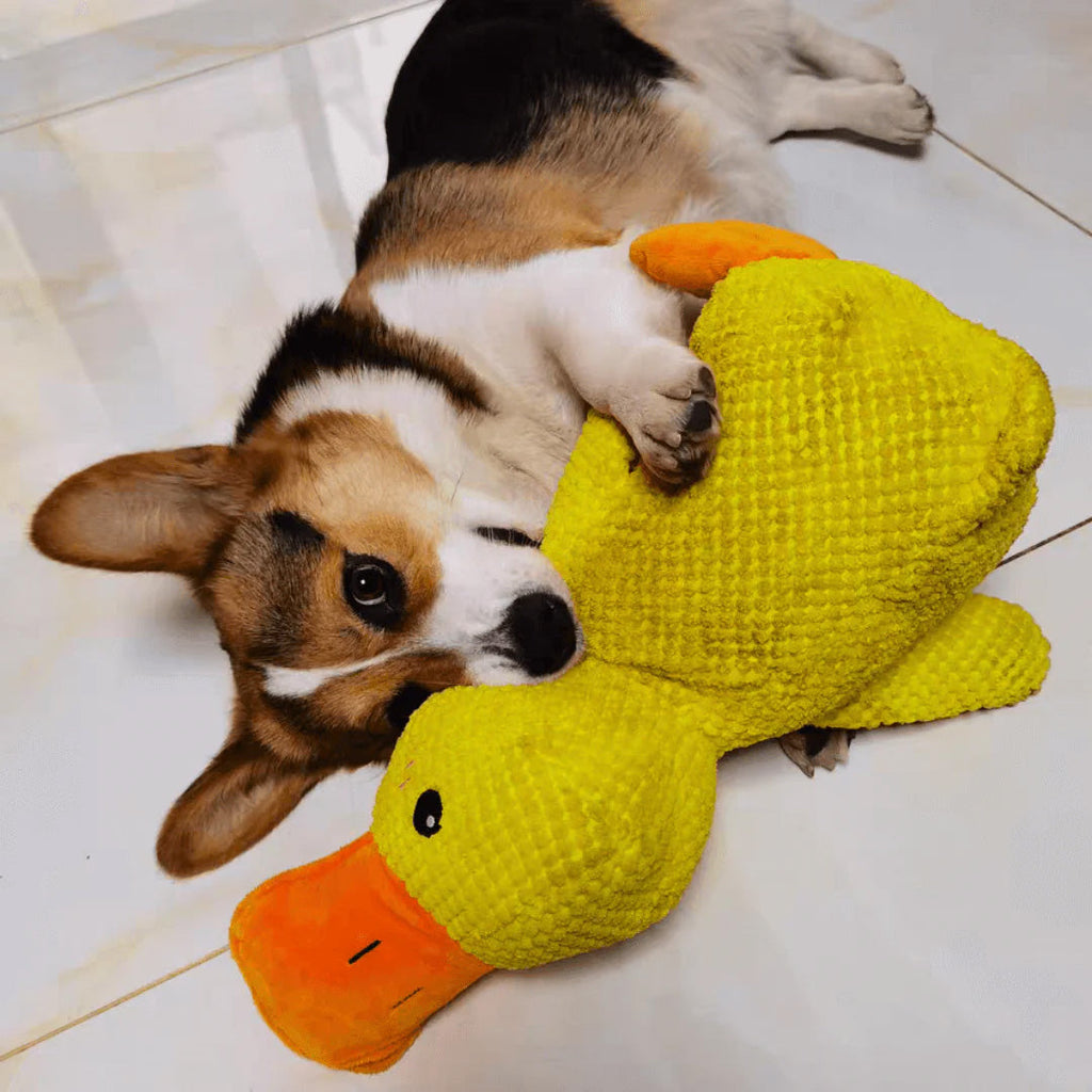Quelland Calming Plush Toy For Comfort And Enrichment