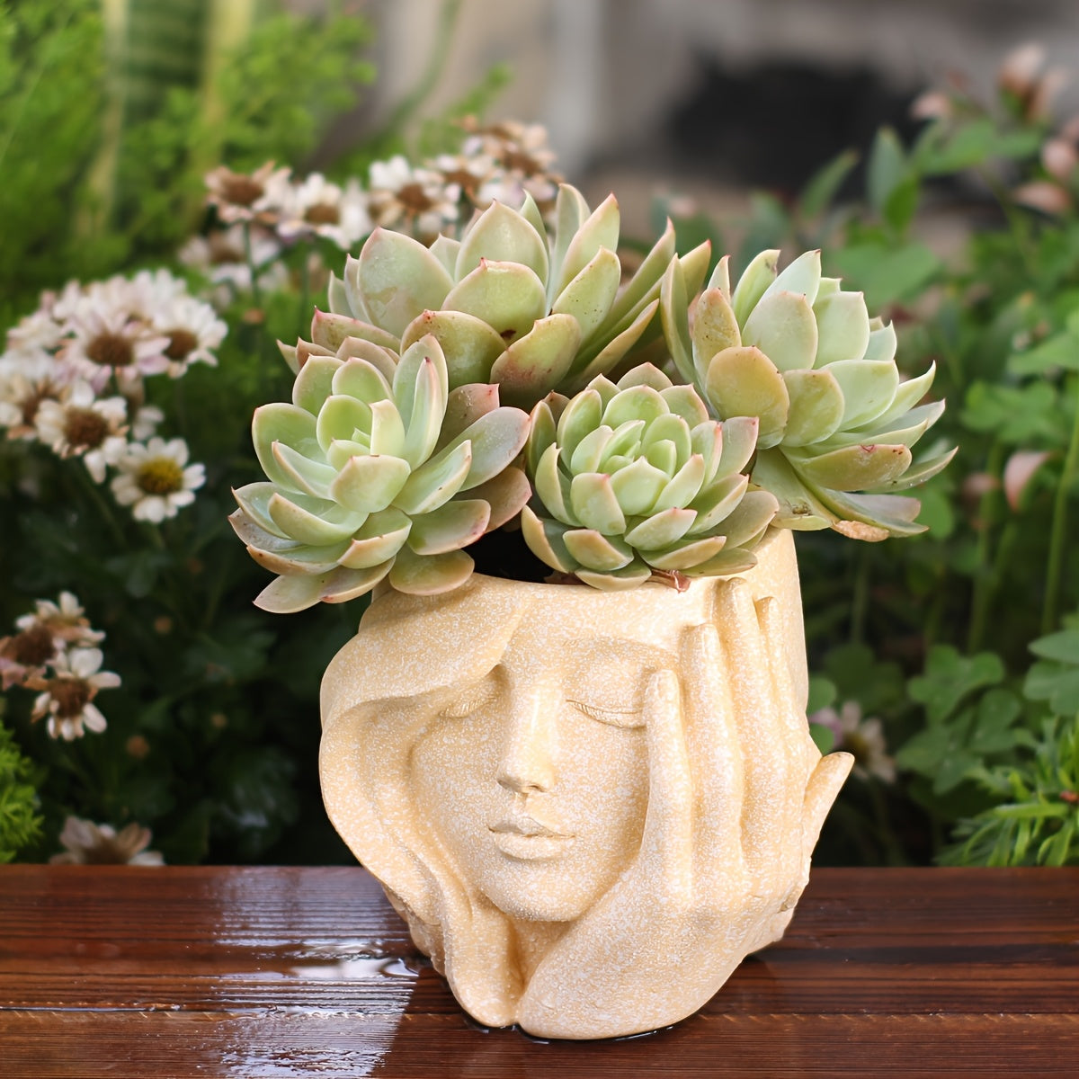 Ghiveci artistic Facerpot pentru expunerea stilată a plantelor de interior și exterior