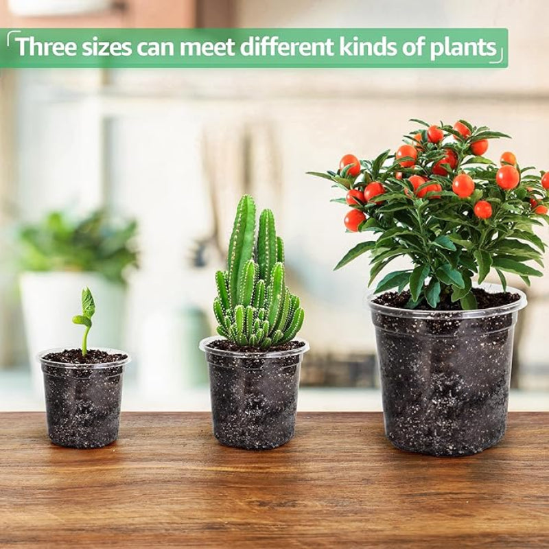 Rootview Set Clear Seedling Planters, 15-Pack for Easy Root Observation