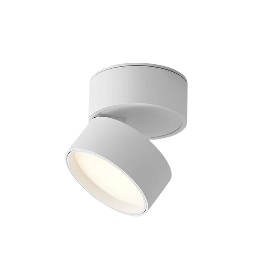 NovaLux Radius Lampada da Soffitto LED Regolabile con Testa Rotante