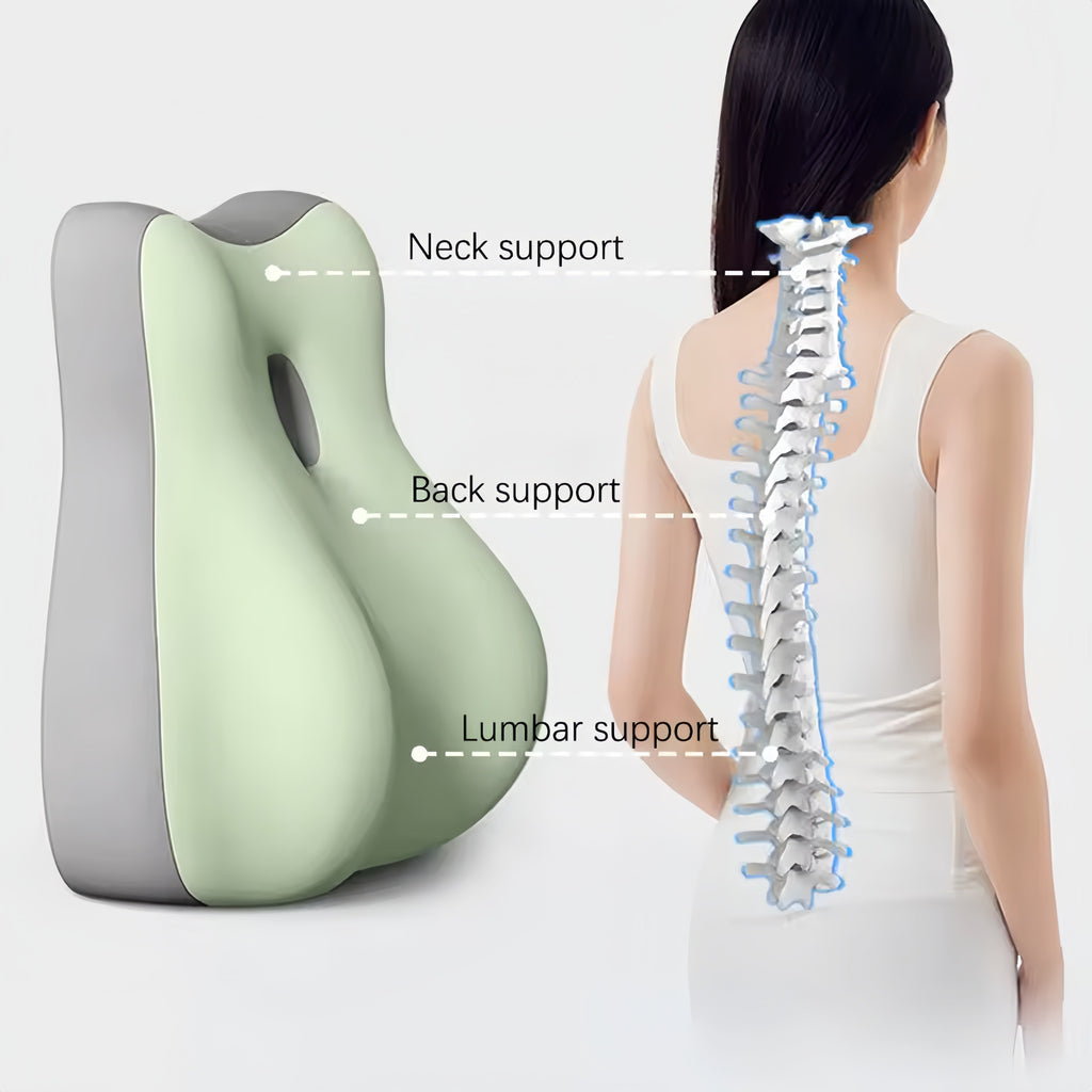 NestMate Comfort Duo Pillow For Seated And Reclined Support