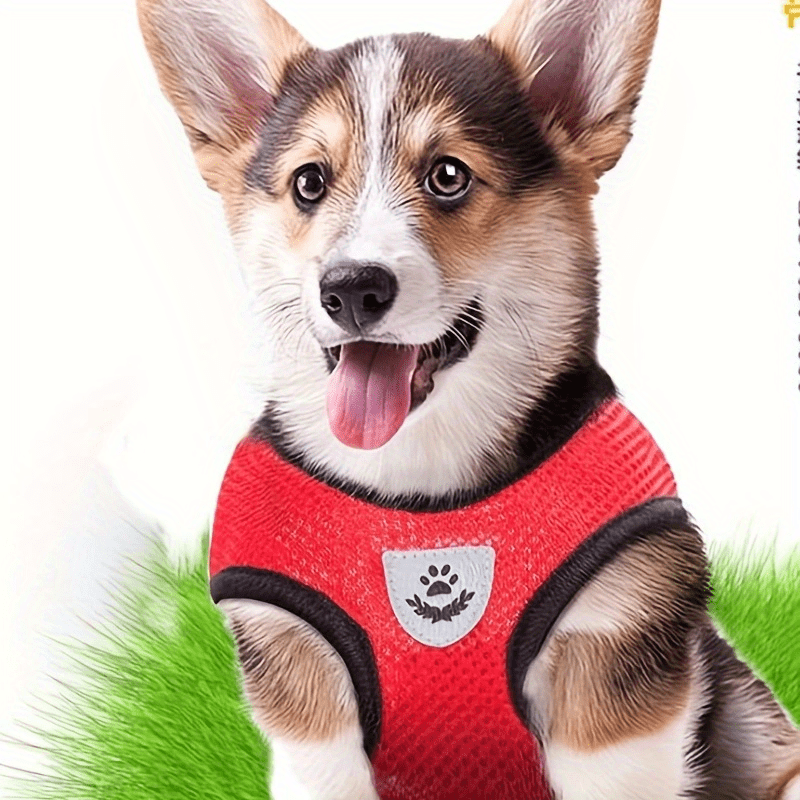Nightwalk Reflective Vest With Leash For Dogs And Cats