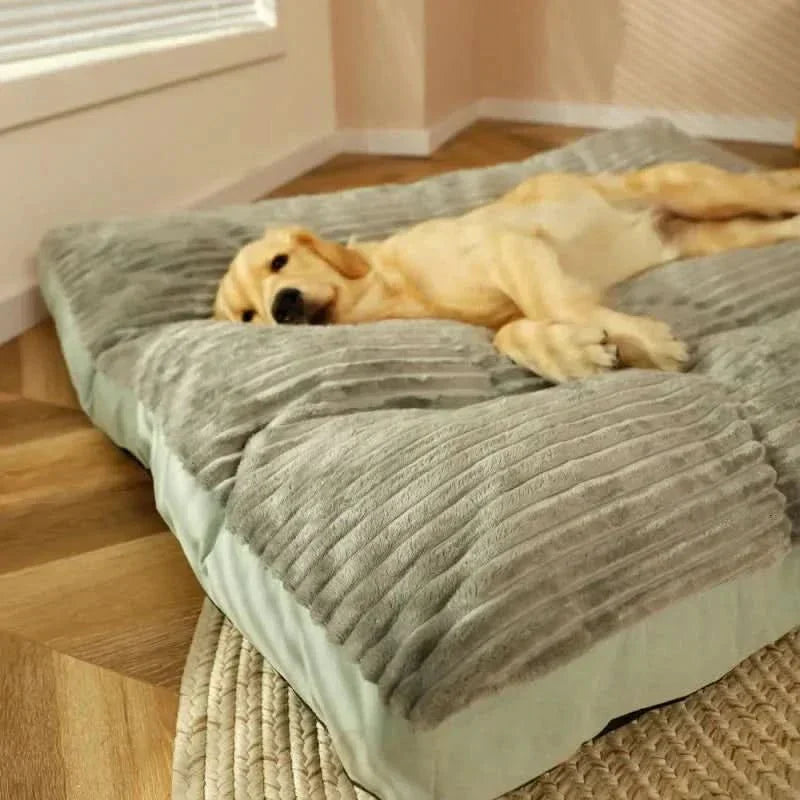 CosyPaw Plüsch-Orthopädisches Hundebett mit gemütlicher Unterstützung und Komfort