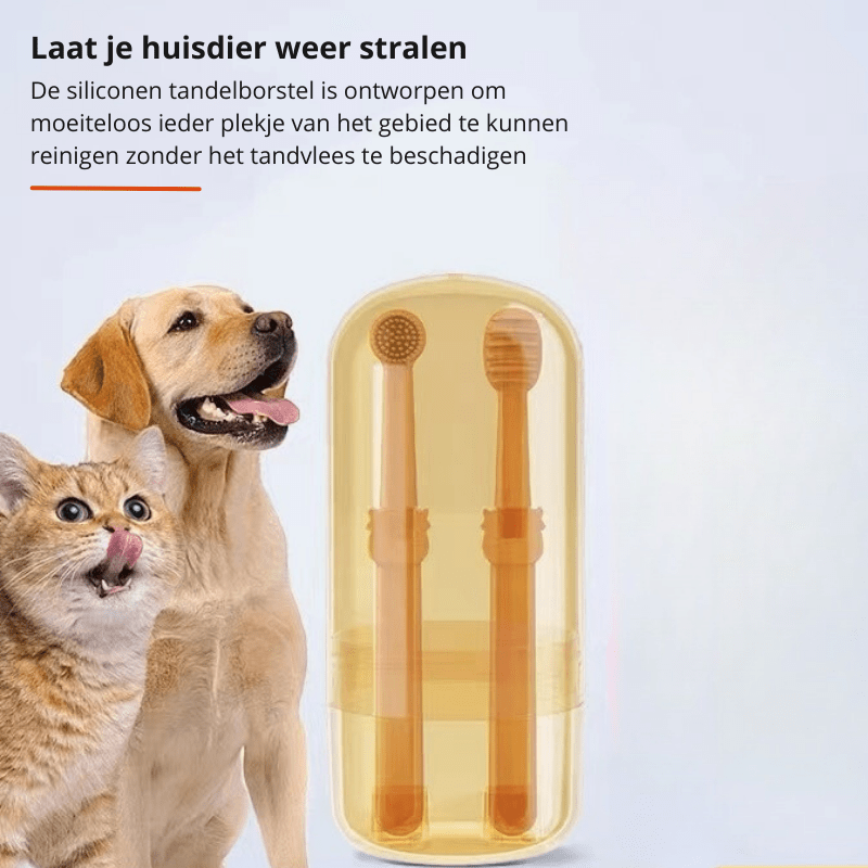 PetSmile silikon tandborste för hundar och katter Skonsam plackborttagning
