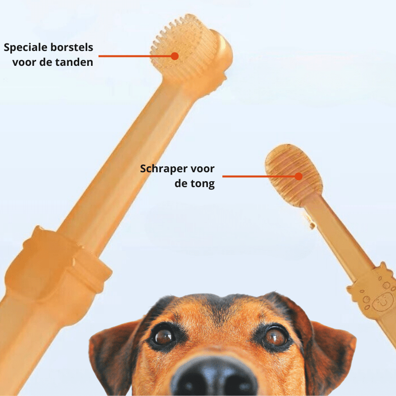 PetSmile silikon tandborste för hundar och katter Skonsam plackborttagning