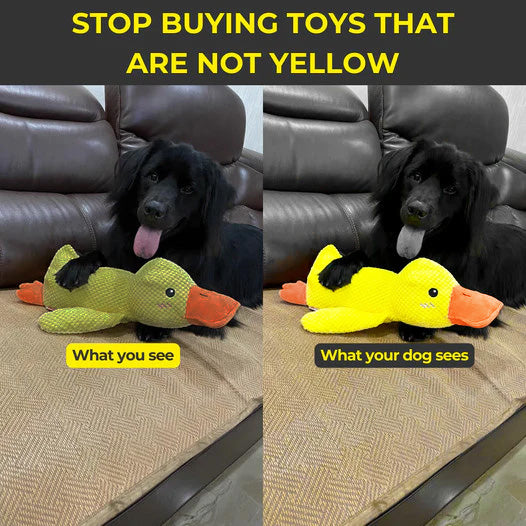 Quelland Calming Plush Toy For Comfort And Enrichment