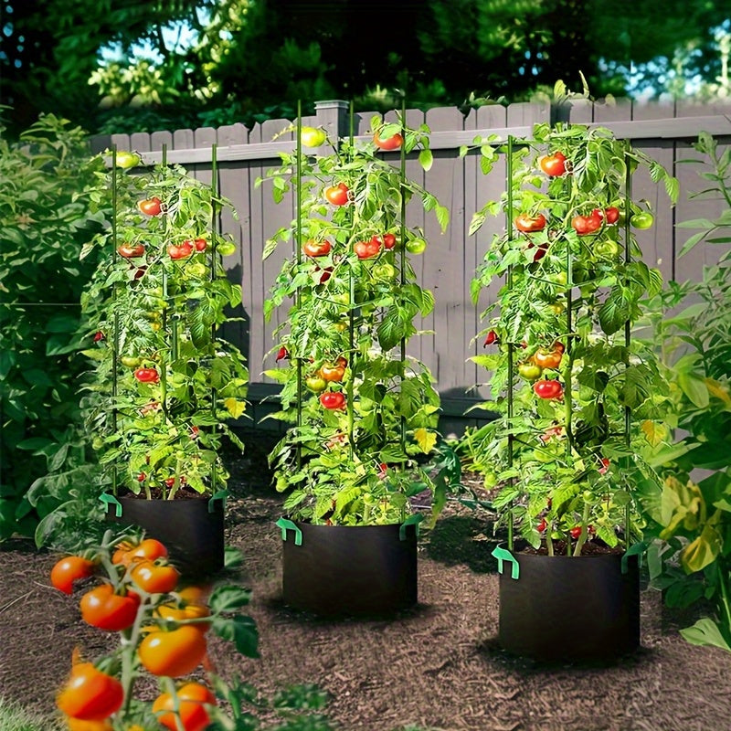 Tomabox Tomato Growing Box With Large Capacity Support