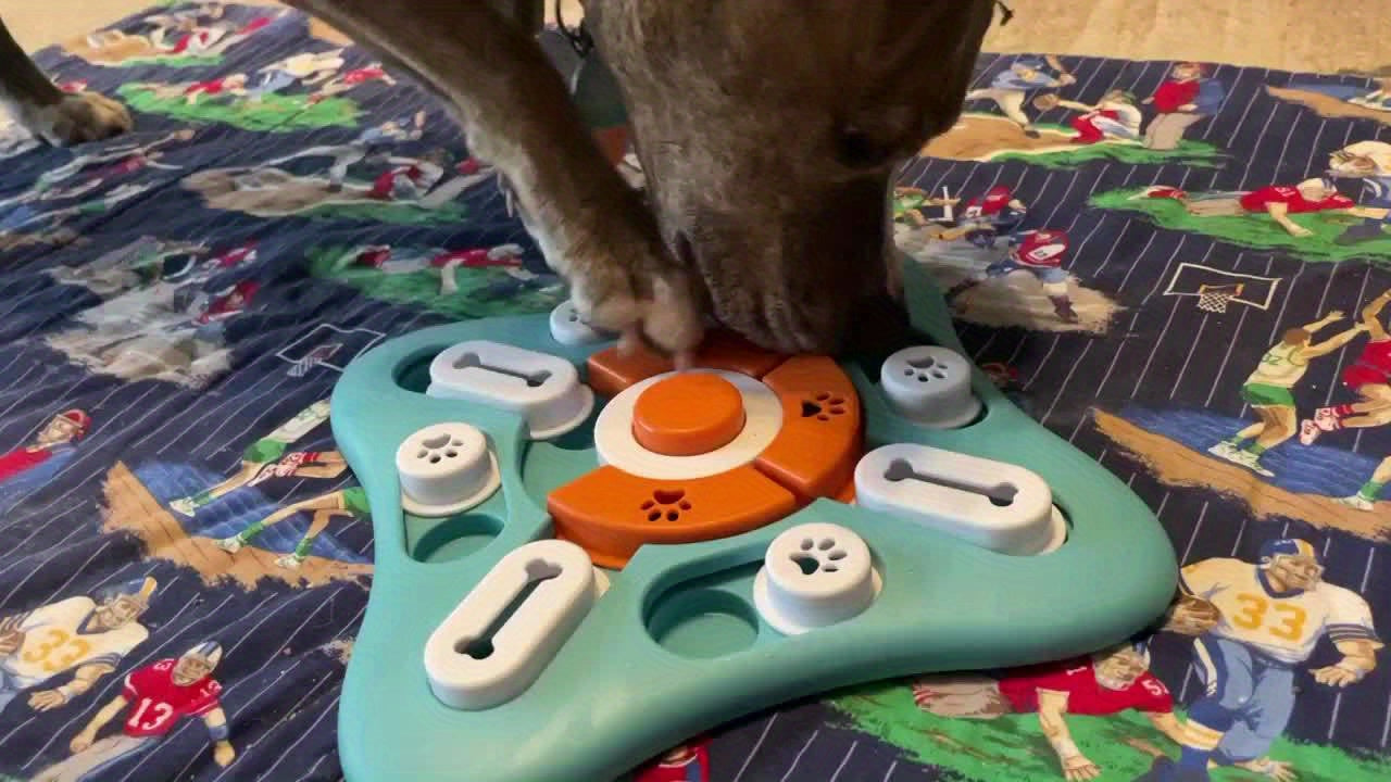 BrainFetch Puzzle Interactivo Alimentador Lento para Perros con IQ