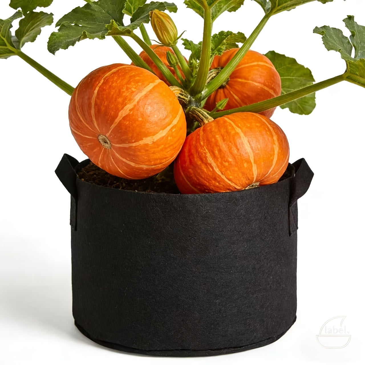 Rootbag Breathable Grow Bag For Stronger Roots And Healthier Plants