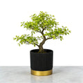 Nordipot Patterned Planter for Sophisticated Indoor Plant Displays