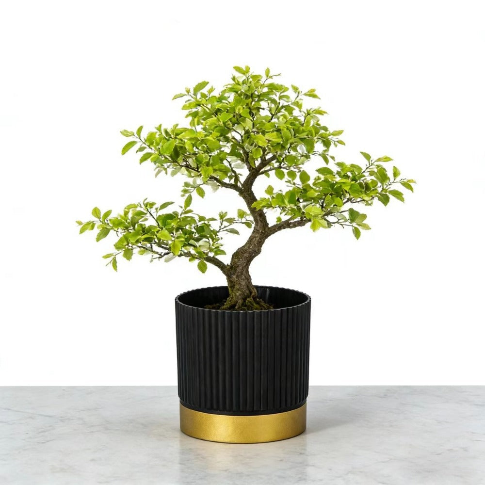 Nordipot Patterned Planter for Sophisticated Indoor Plant Displays