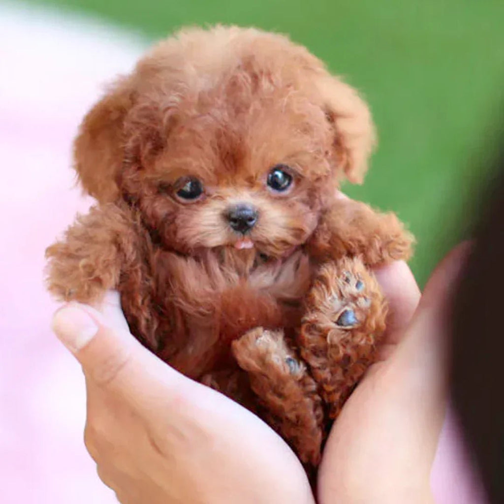 Interactive Plush Toy Puppy With Realistic Movements And Reactions For All Ages