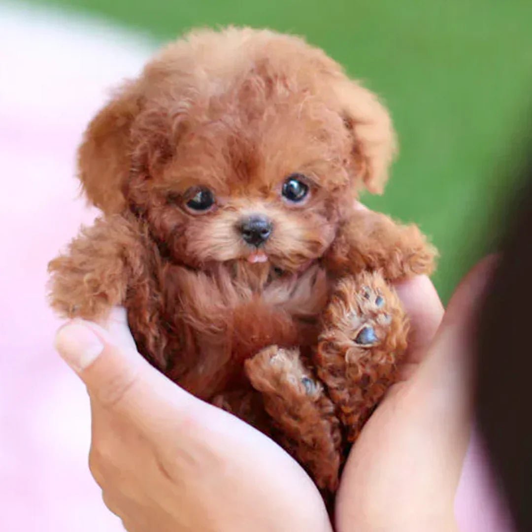 Interactive Plush Toy Puppy With Realistic Movements And Reactions For All Ages