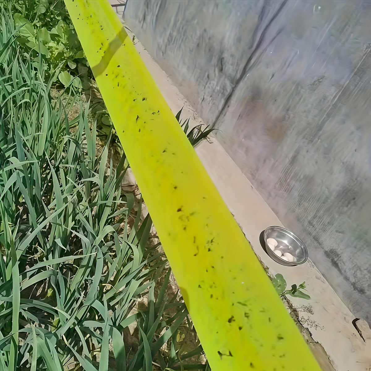 Bandă de barieră Bugstrip pentru trunchiuri de copaci și suporturi de grădină