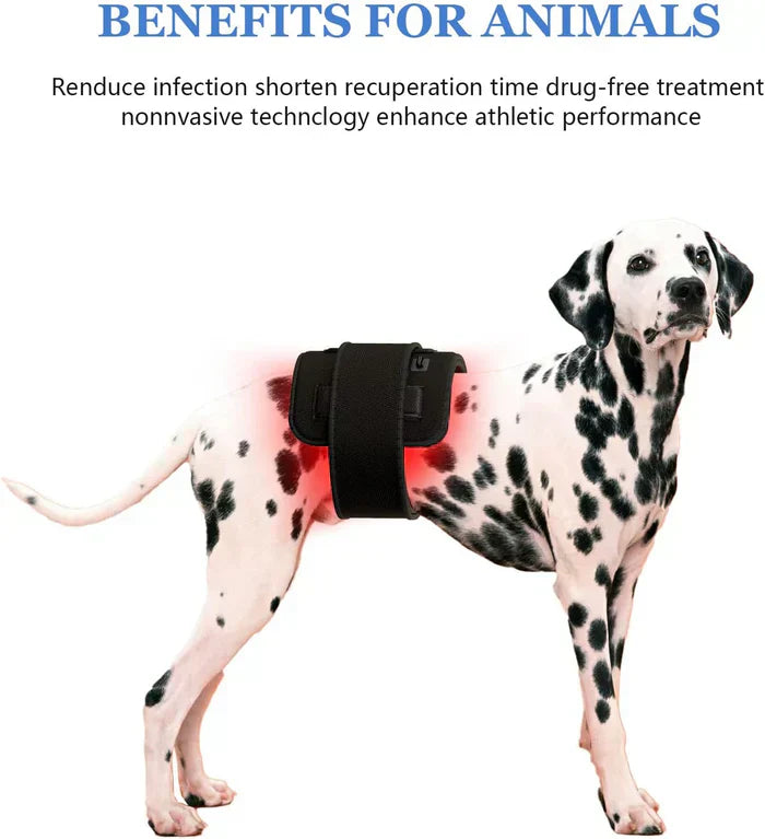 Infrared Light Belt For Targeted Back And Muscle Areas