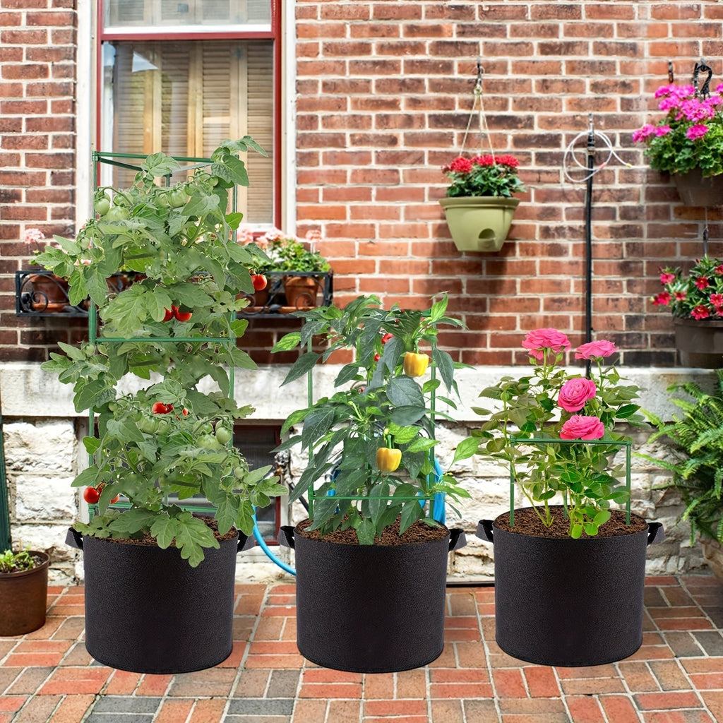 Tomabox Tomato Growing Box With Large Capacity Support