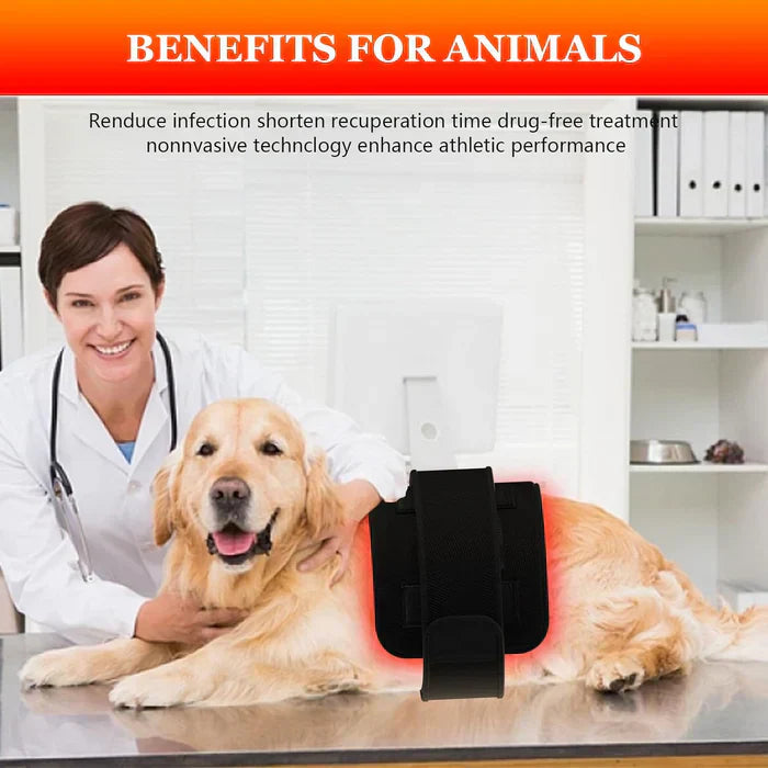 Infrared Light Belt For Targeted Back And Muscle Areas