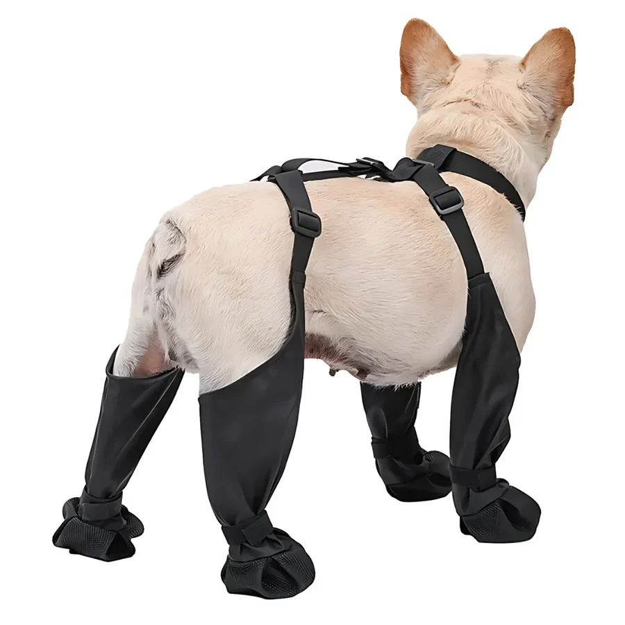 Botas para Cão com Cobertura Total, Solas Antiderrapantes para Aventuras em Todas as Condições Climáticas