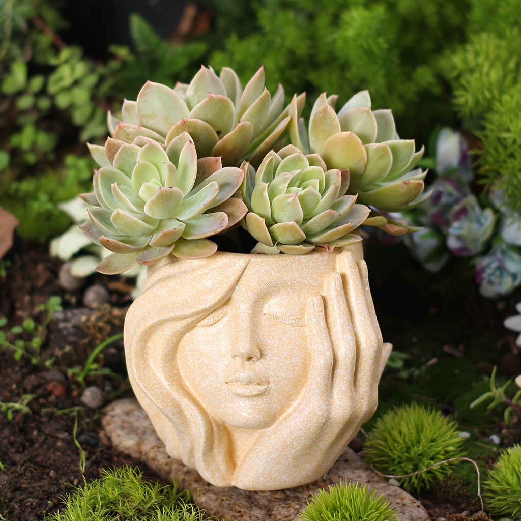 Ghiveci artistic Facerpot pentru expunerea stilată a plantelor de interior și exterior