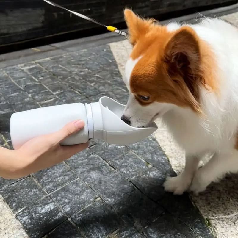 TrailMate Bottiglia d'Acqua Pieghevole per Animali con Capacità di 550 Ml