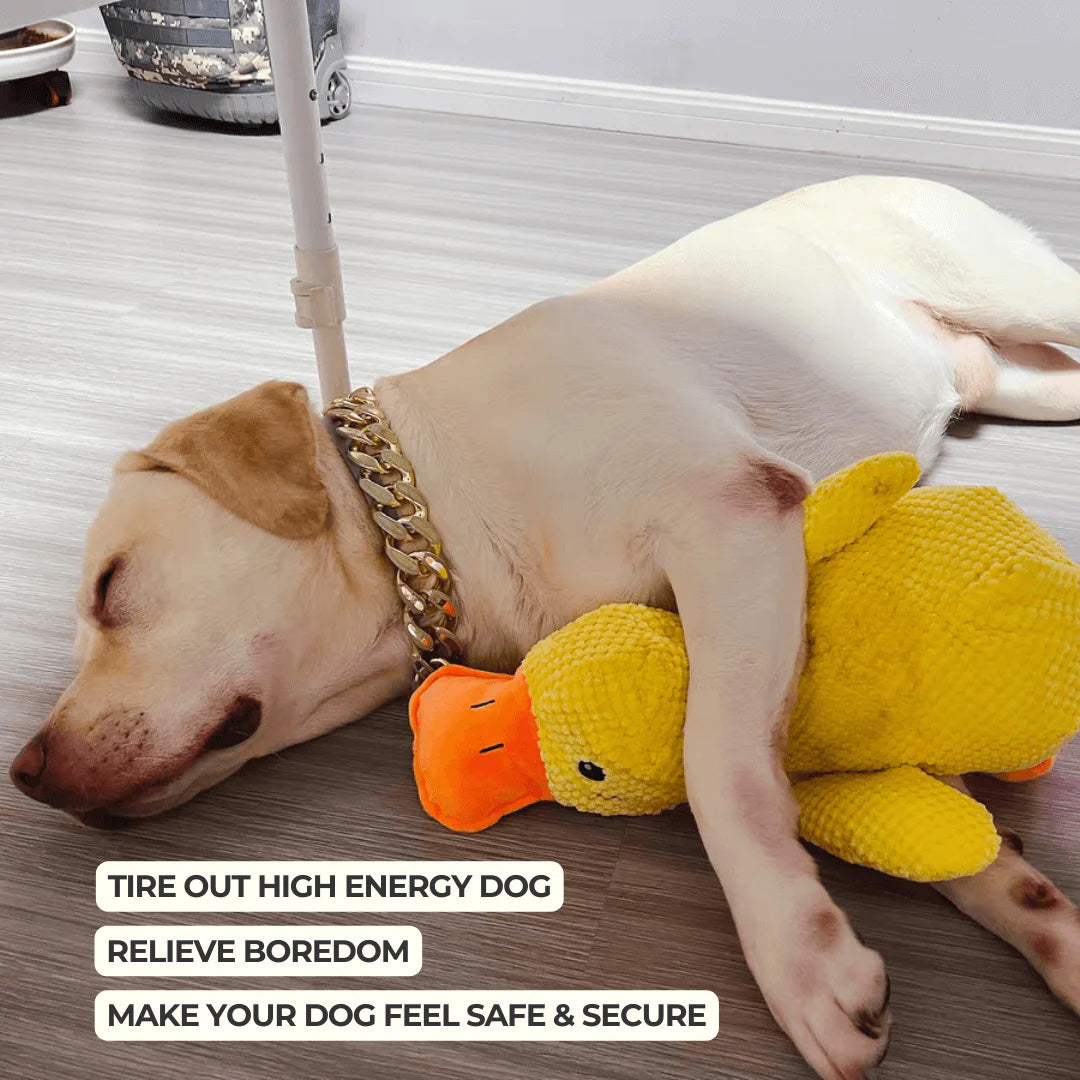 Quelland Calming Plush Toy For Comfort And Enrichment