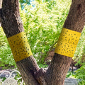 Bandă de barieră Bugstrip pentru trunchiuri de copaci și suporturi de grădină