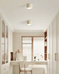 Lumira Modern Metal Ceiling Light With Ambient Acrylic Diffuser