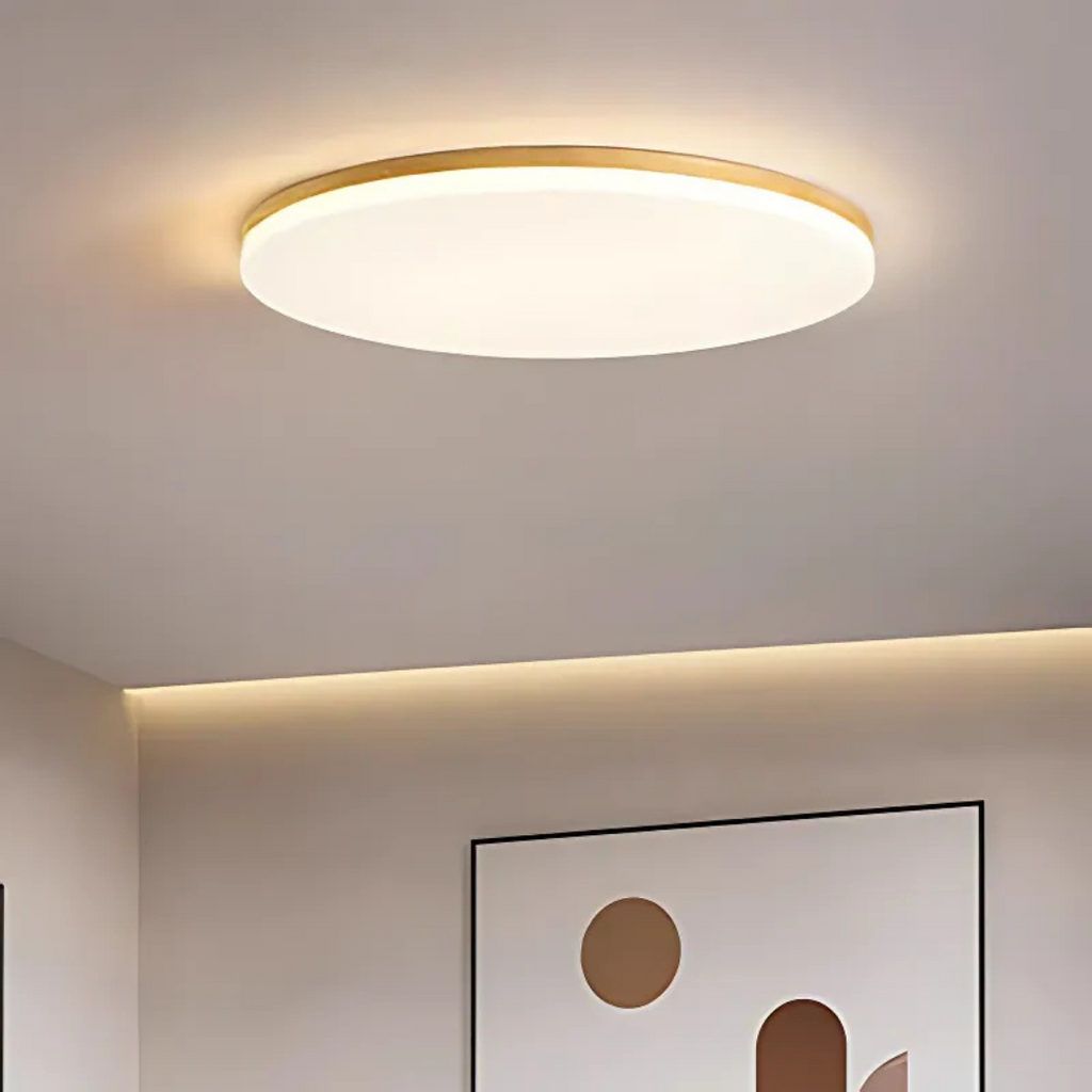Luz de Techo LED Redonda LumaNova para Sala con Eficiencia Energética