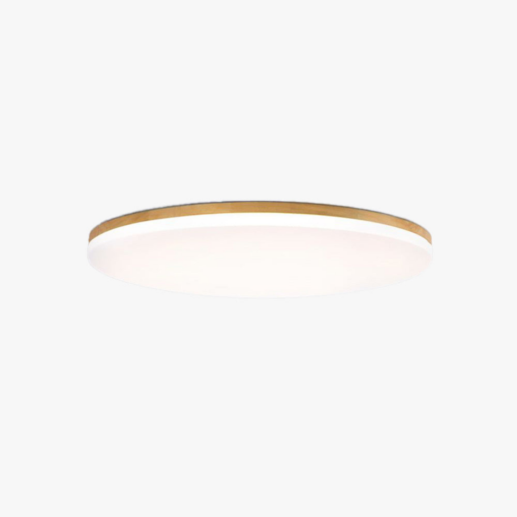Luz de Techo LED Redonda LumaNova para Sala con Eficiencia Energética
