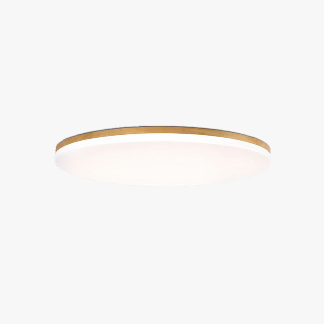 Luz de Techo LED Redonda LumaNova para Sala con Eficiencia Energética