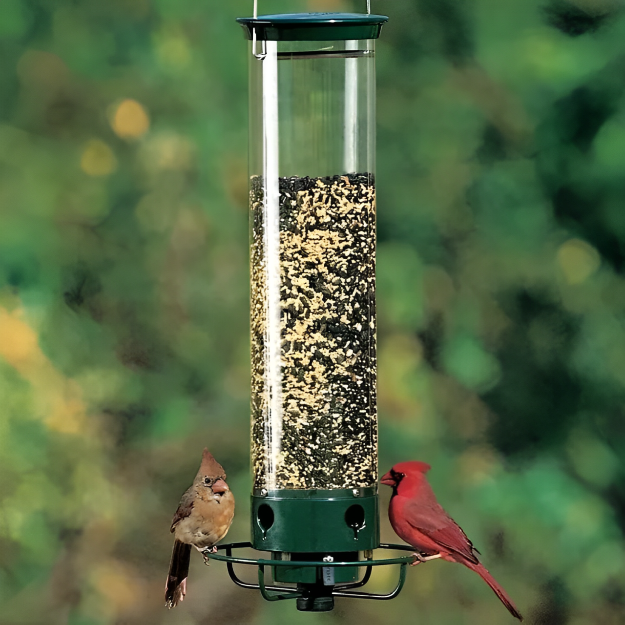 Comedero para pájaros sensible al peso con protección contra ardillas para alimentar aves en el jardín