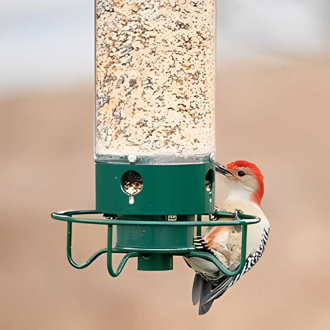 Comedero para pájaros sensible al peso con protección contra ardillas para alimentar aves en el jardín