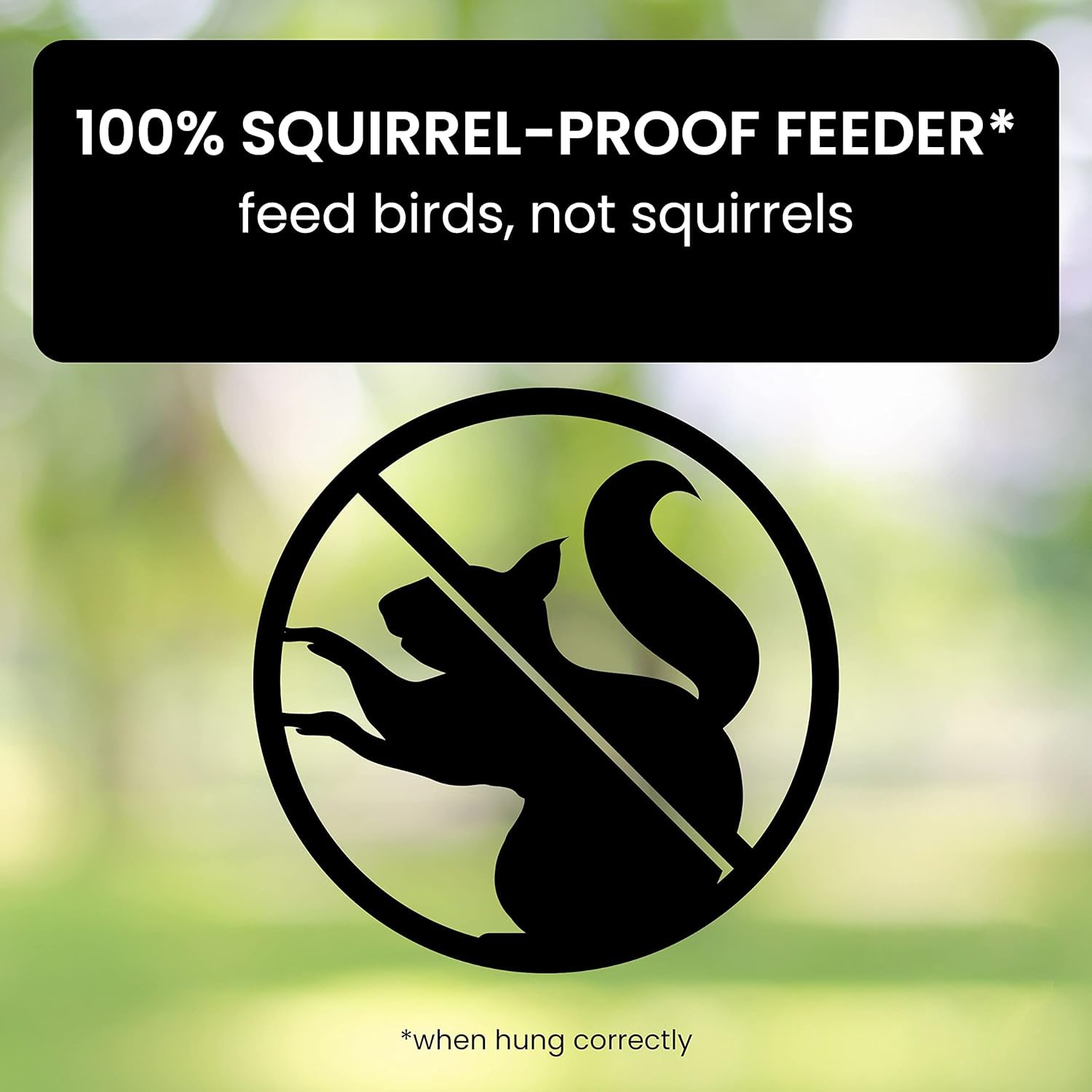 Comedero para pájaros sensible al peso con protección contra ardillas para alimentar aves en el jardín
