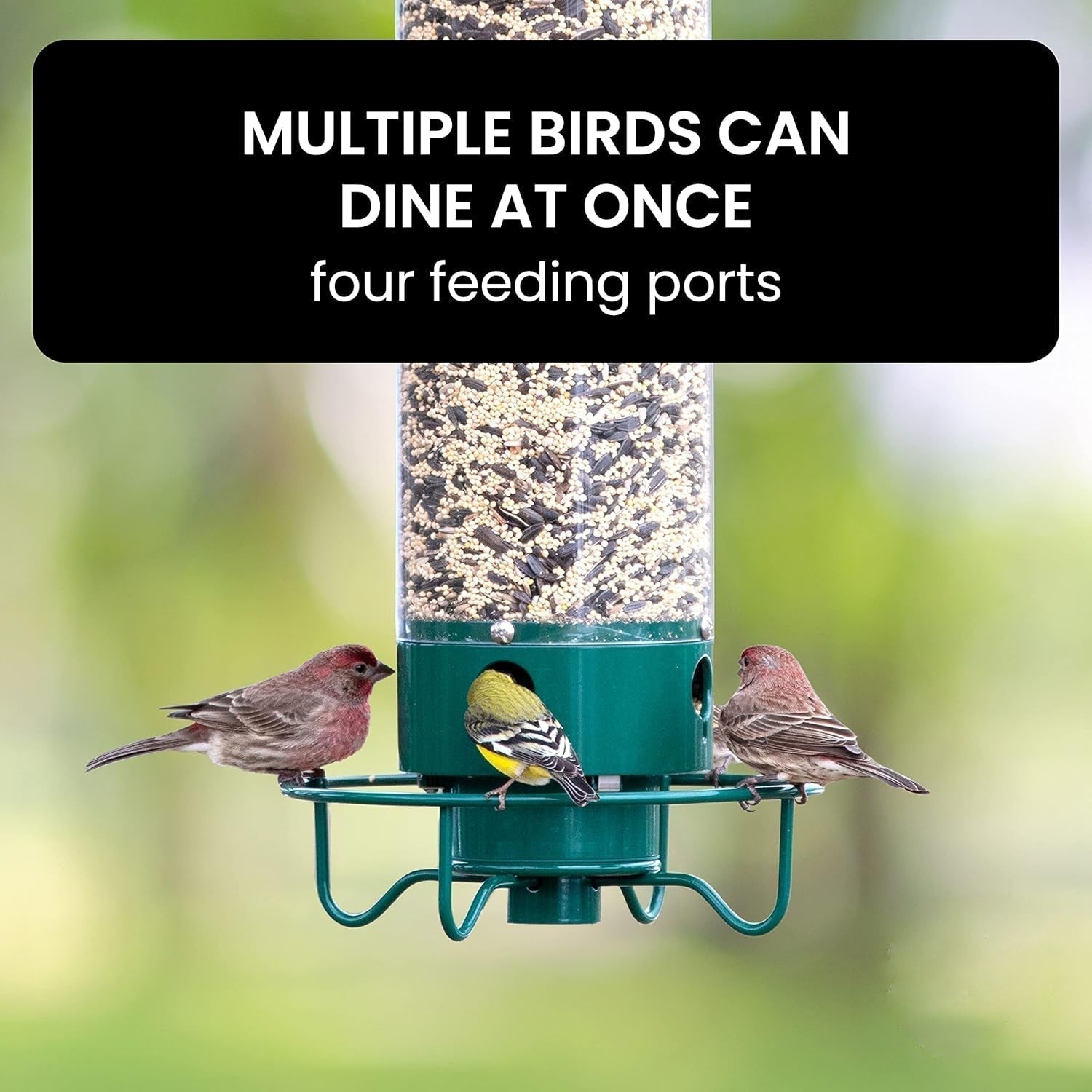 Comedero para pájaros sensible al peso con protección contra ardillas para alimentar aves en el jardín