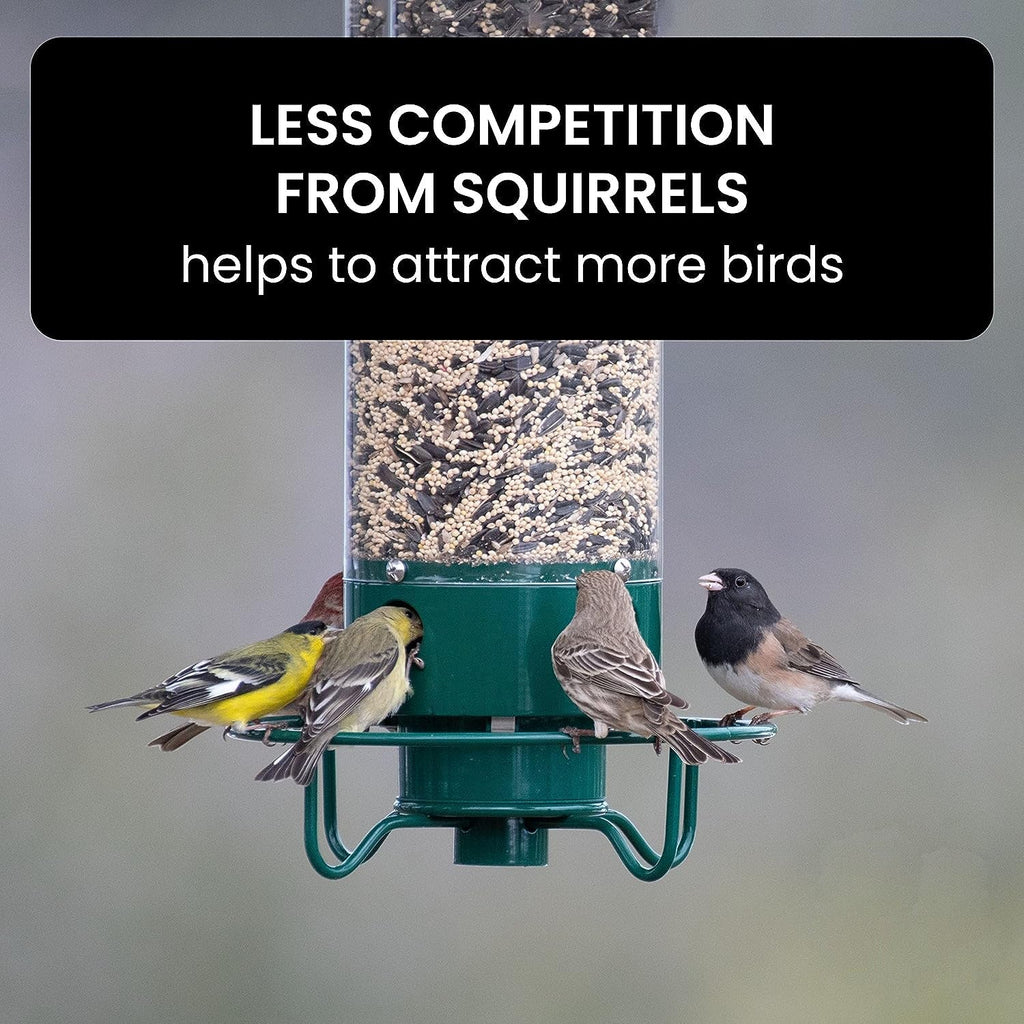 Comedero para pájaros sensible al peso con protección contra ardillas para alimentar aves en el jardín