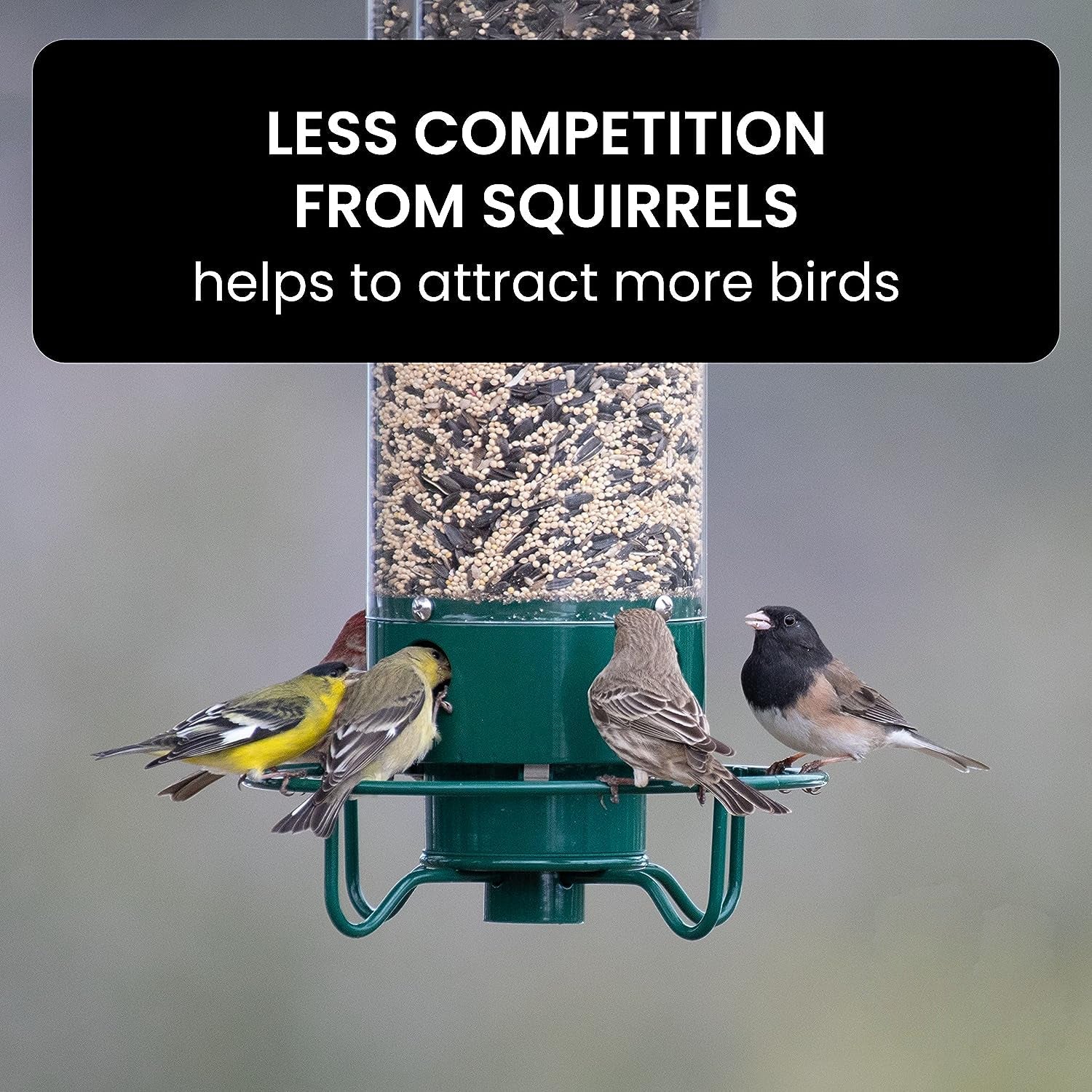 Comedero para pájaros sensible al peso con protección contra ardillas para alimentar aves en el jardín