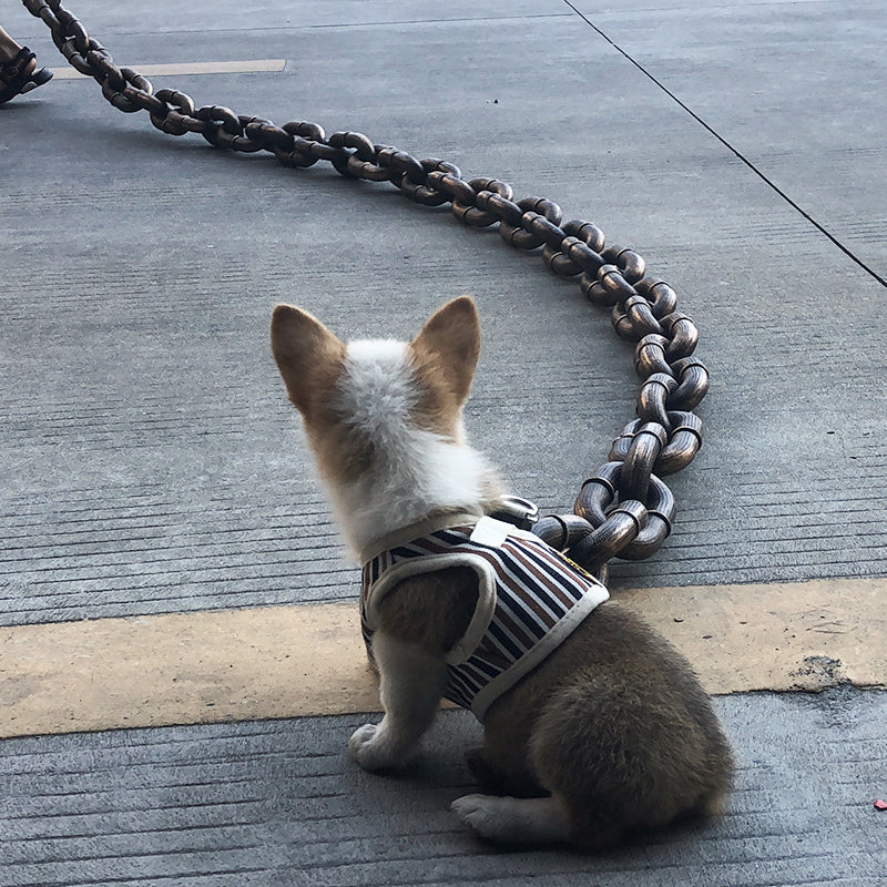 Aws Luxe Dayanıklı Metal Zincirli, Ayarlanabilir Boyutlu Köpek Tasması