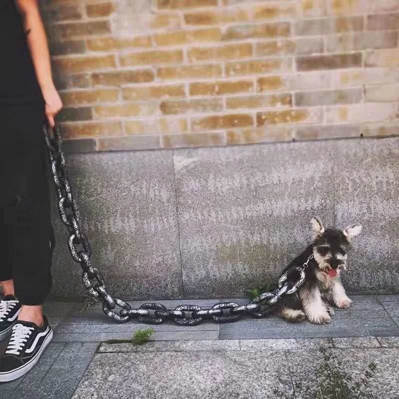 Aws Luxe Dayanıklı Metal Zincirli, Ayarlanabilir Boyutlu Köpek Tasması