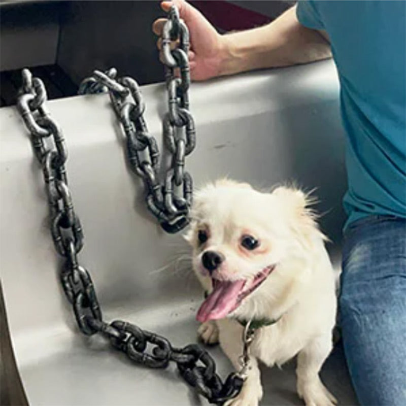 Aws Luxe Dayanıklı Metal Zincirli, Ayarlanabilir Boyutlu Köpek Tasması