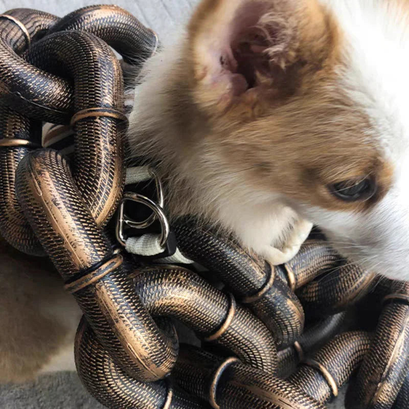 Aws Luxe Dayanıklı Metal Zincirli, Ayarlanabilir Boyutlu Köpek Tasması