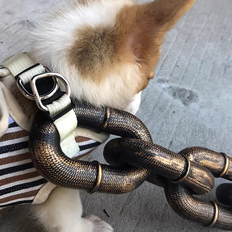 Aws Luxe Dayanıklı Metal Zincirli, Ayarlanabilir Boyutlu Köpek Tasması